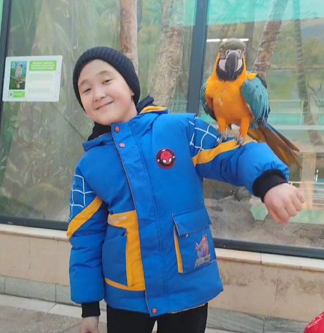 Abdulaziz, Ташкент